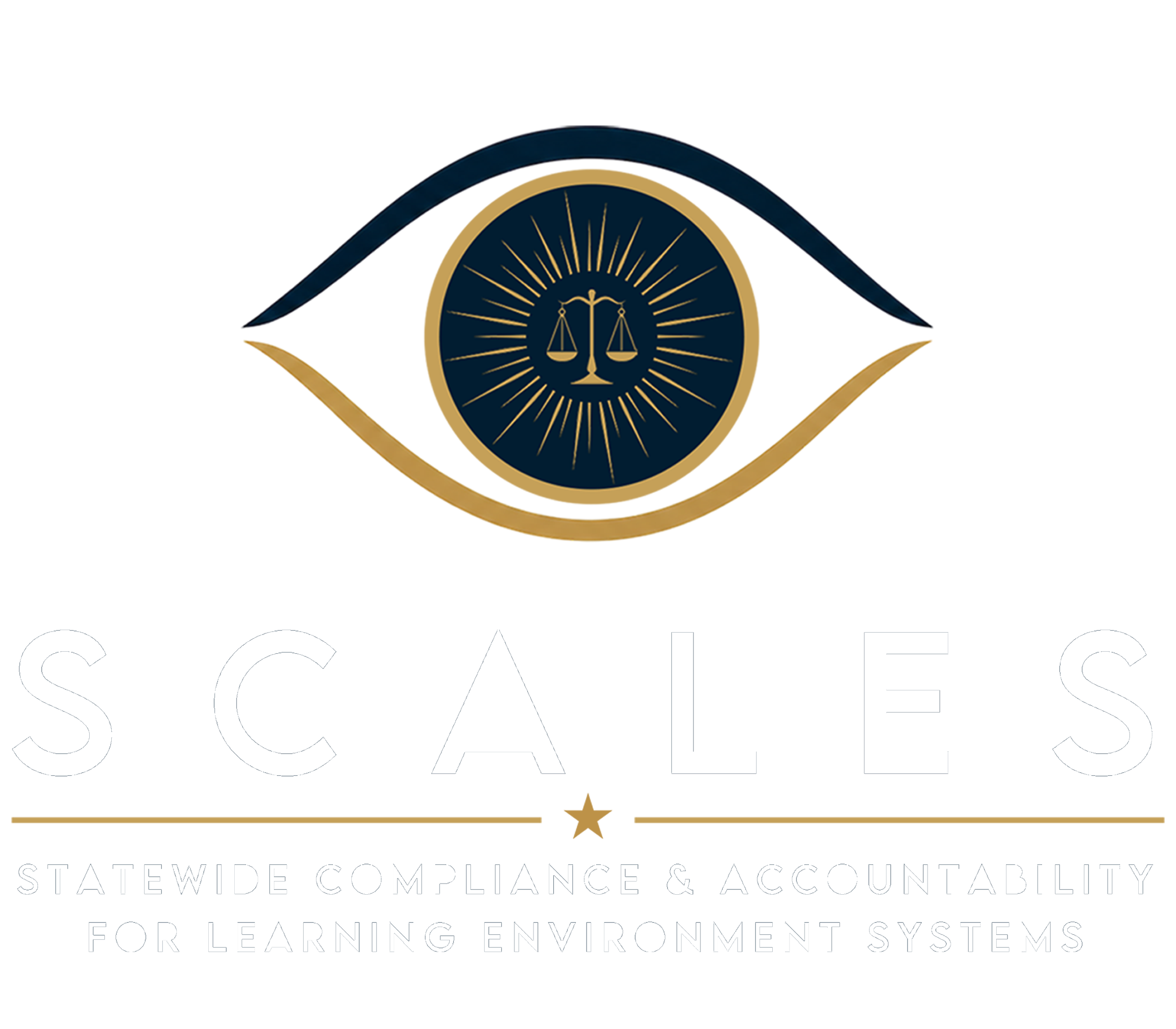 SCALES — Statewide Compliance & Accountability for Learning Environment Systems
